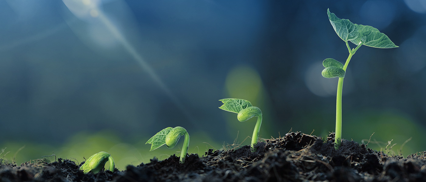 k豆钱包官方网站 - kdpay钱包